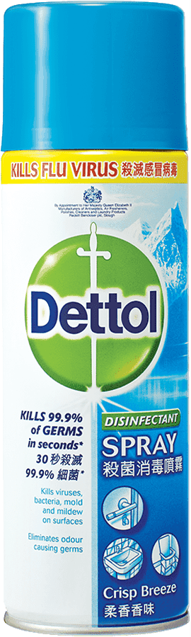 Dettol Antibacterial Disinfectant Spray, Soft Fragrance